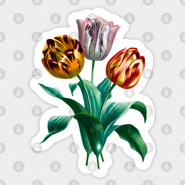 Colorful Vintage Watercolor Tulip Flowers Bouquet Sticker by CatyArte